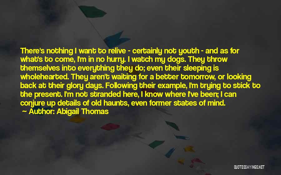 Better Days To Come Quotes By Abigail Thomas