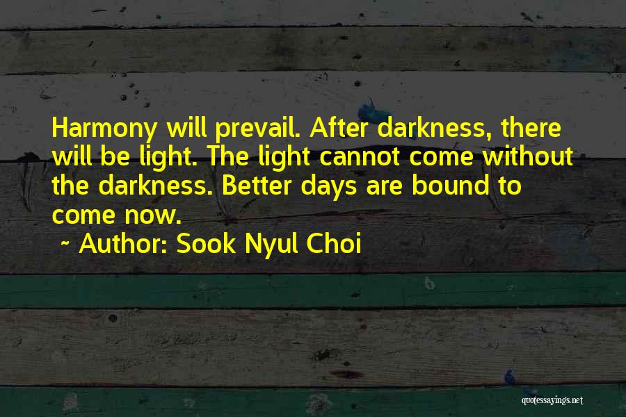 Better Days To Come Quotes By Sook Nyul Choi