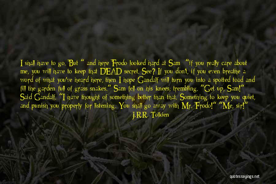 Better Keep Quiet Quotes By J.R.R. Tolkien