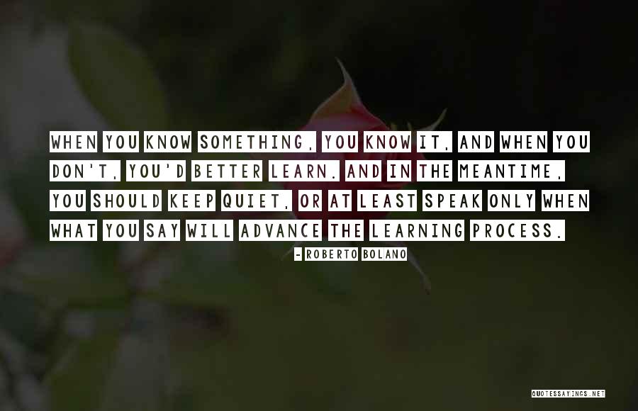 Better Keep Quiet Quotes By Roberto Bolano