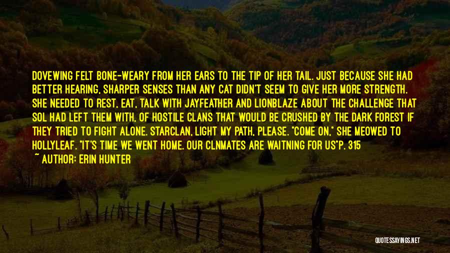 Better Left Alone Quotes By Erin Hunter