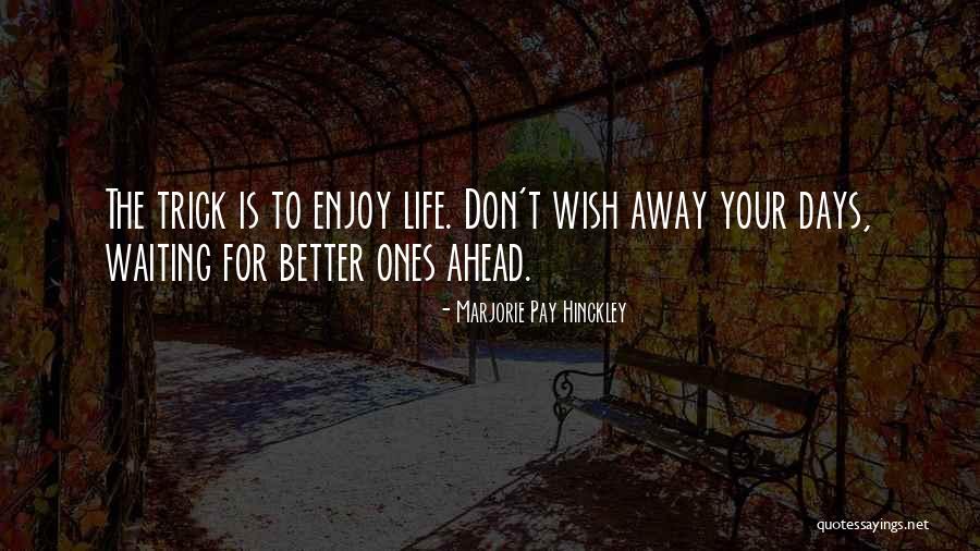 Better Life Ahead Quotes By Marjorie Pay Hinckley Better Life Ahead Quotes By Marjorie Pay Hinckley