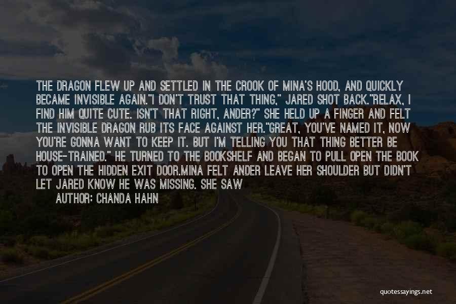 Better Now Than Later Quotes By Chanda Hahn