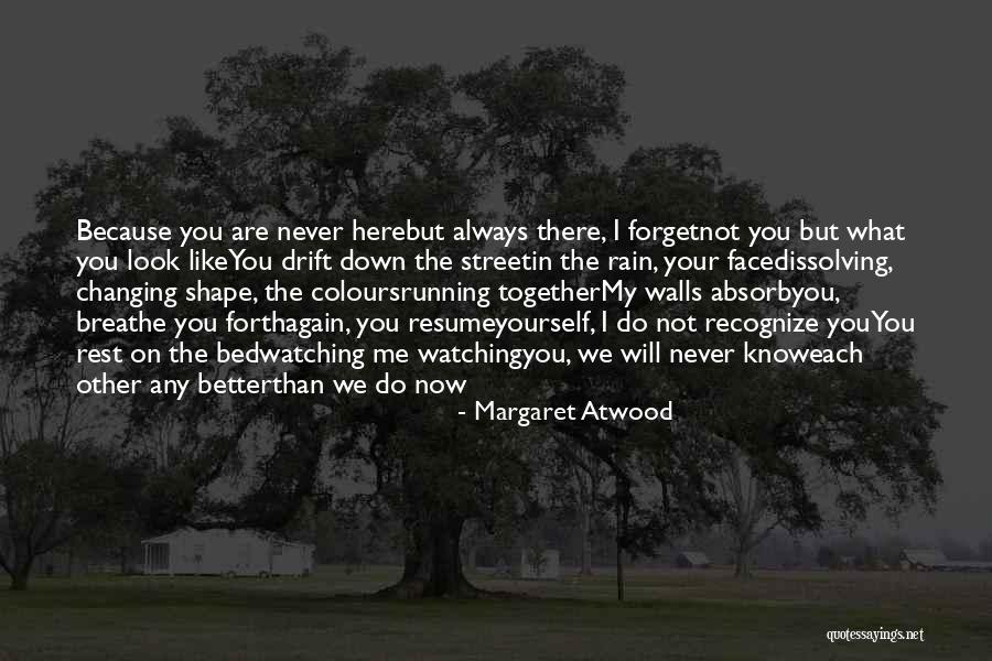 Better Now Than Never Quotes By Margaret Atwood