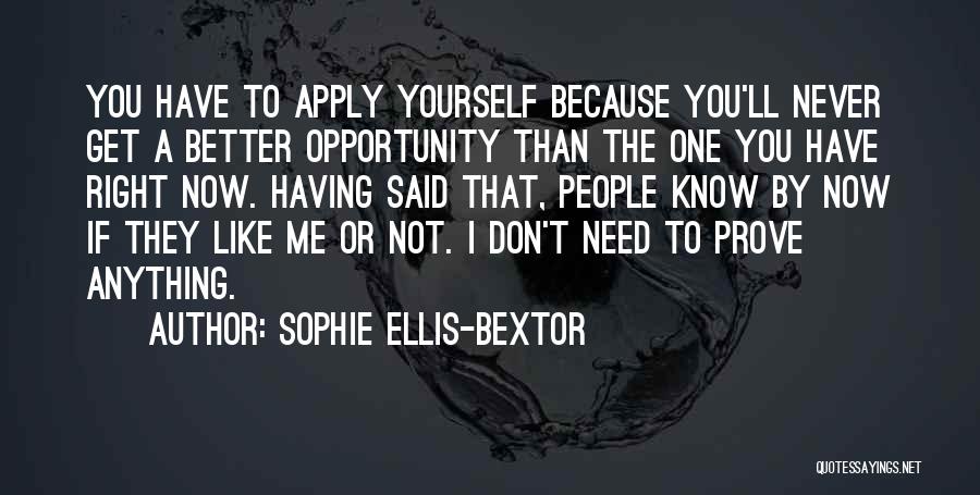 Better Now Than Never Quotes By Sophie Ellis-Bextor