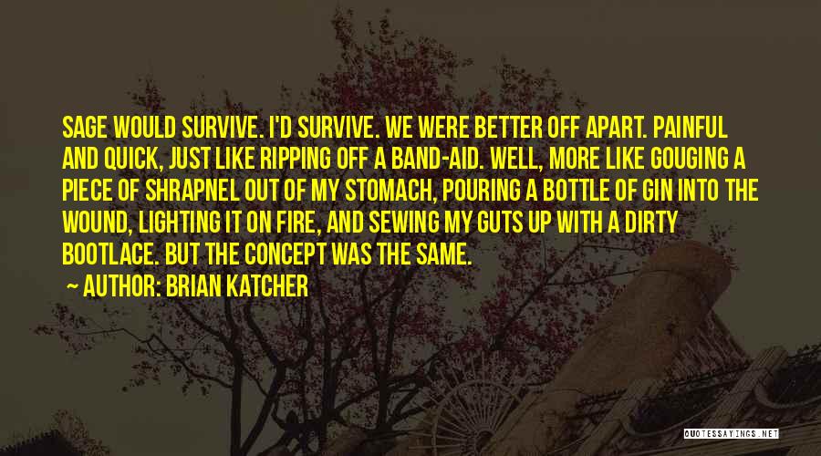 Better Off Apart Quotes By Brian Katcher