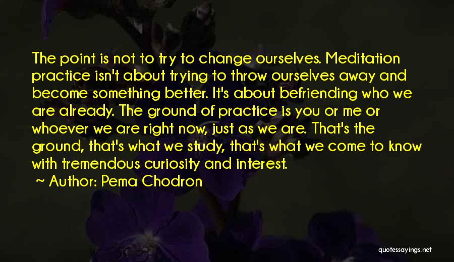 Better Ourselves Quotes By Pema Chodron