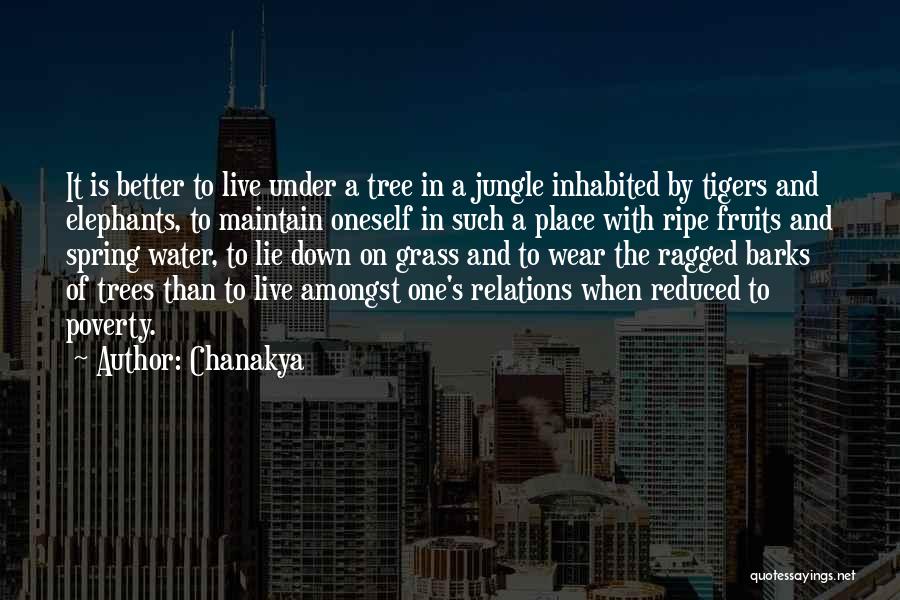 Better Place To Live Quotes By Chanakya