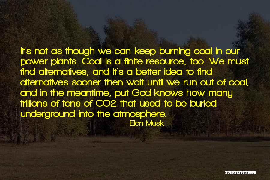 Better Plants Quotes By Elon Musk Better Plants Quotes By Elon Musk