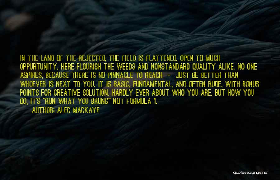 Better Quality Of Life Quotes By Alec Mackaye