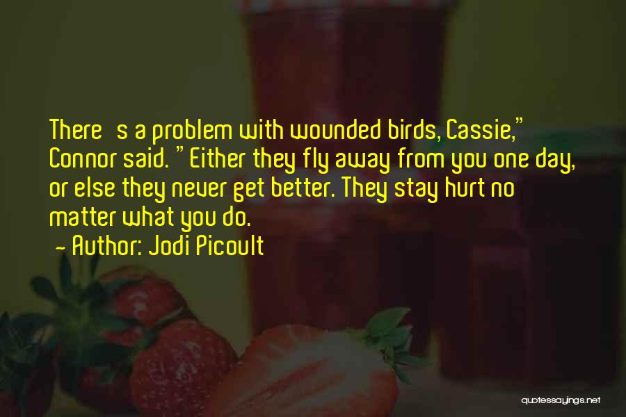 Better Stay Away Quotes By Jodi Picoult