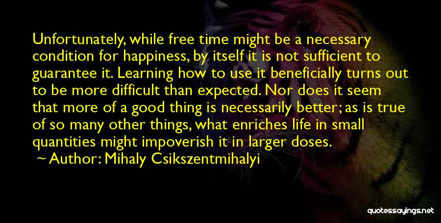 Better Than Expected Quotes By Mihaly Csikszentmihalyi