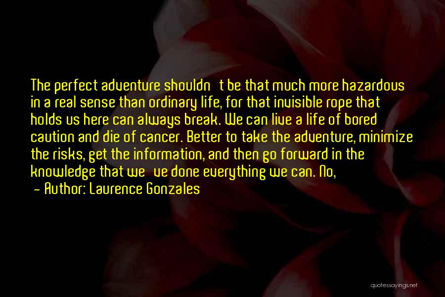 Better Than Perfect Quotes By Laurence Gonzales