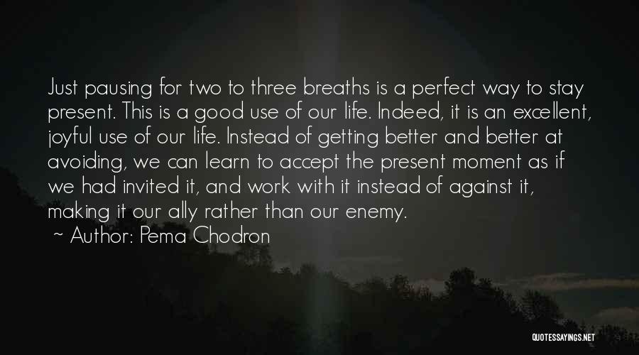 Better Than Perfect Quotes By Pema Chodron