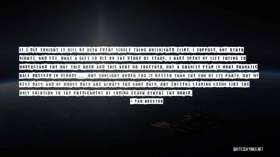 Better Than The Best Quotes By Pam Houston Better Than The Best Quotes By Pam Houston