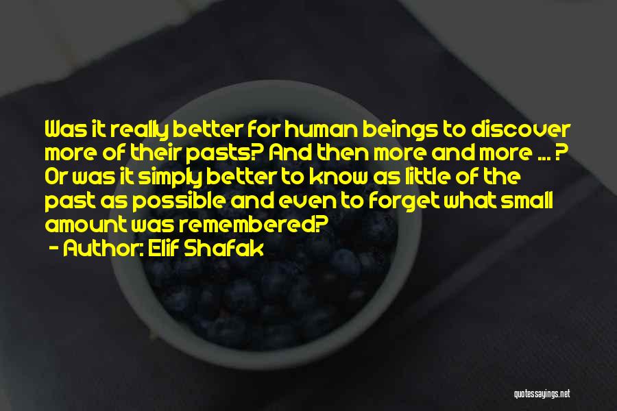 Better To Forget The Past Quotes By Elif Shafak