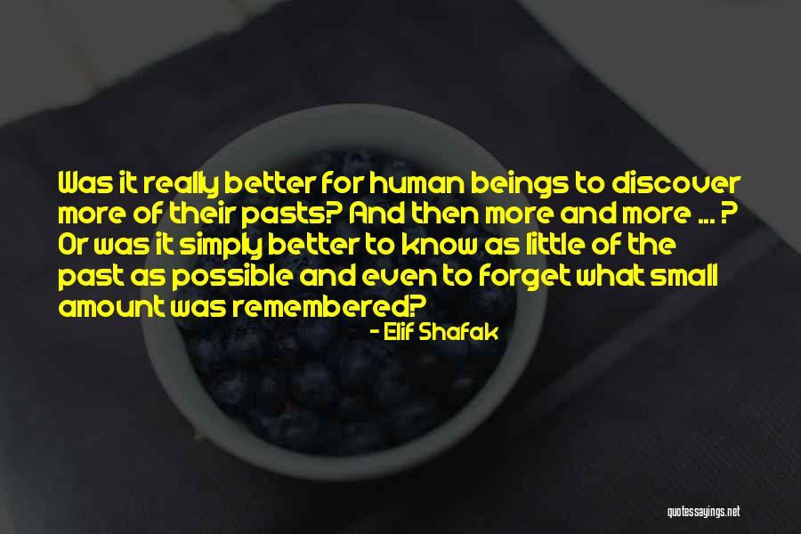 Better To Forget The Past Quotes By Elif Shafak