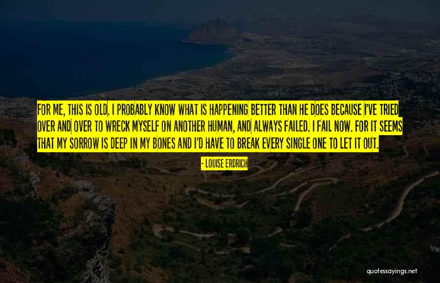 Better To Have Tried And Failed Quotes By Louise Erdrich Better To Have Tried And Failed Quotes By Louise Erdrich