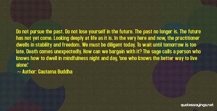 Better To Live Alone Quotes By Gautama Buddha