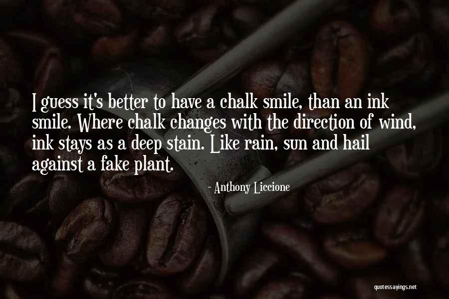 Better To Smile Quotes By Anthony Liccione