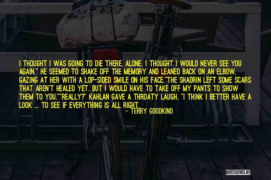 Better To Smile Quotes By Terry Goodkind Better To Smile Quotes By Terry Goodkind