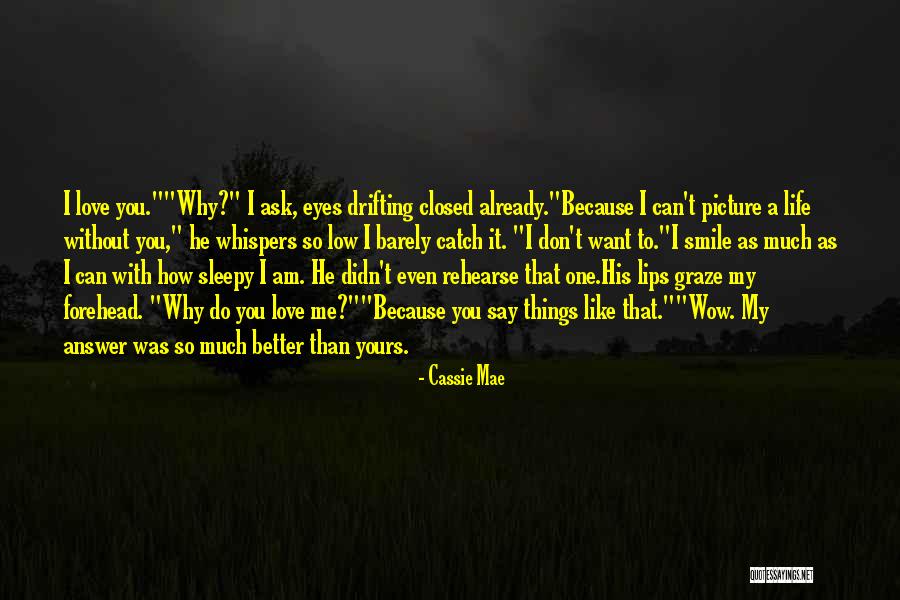 Better Without Love Quotes By Cassie Mae