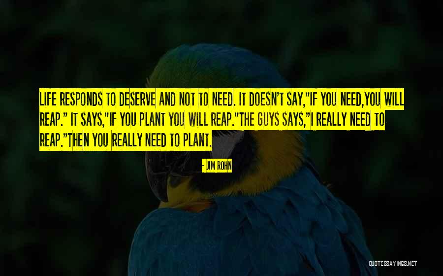 Betteravia Quotes By Jim Rohn Betteravia Quotes By Jim Rohn