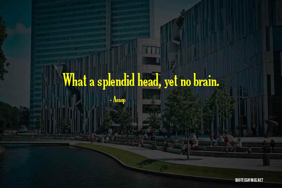 Bettermann Miriam Quotes By Aesop Bettermann Miriam Quotes By Aesop