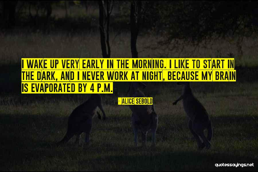 Betterworks Competitors Quotes By Alice Sebold Betterworks Competitors Quotes By Alice Sebold
