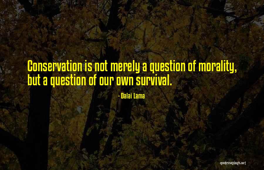 Bettini Pasta Quotes By Dalai Lama