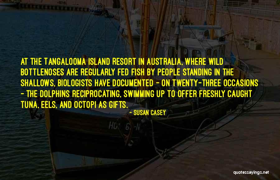 Bettolinos Redondo Quotes By Susan Casey Bettolinos Redondo Quotes By Susan Casey