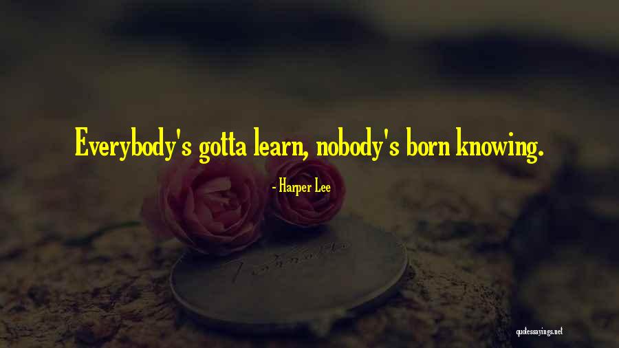 Bettors Aids Quotes By Harper Lee Bettors Aids Quotes By Harper Lee