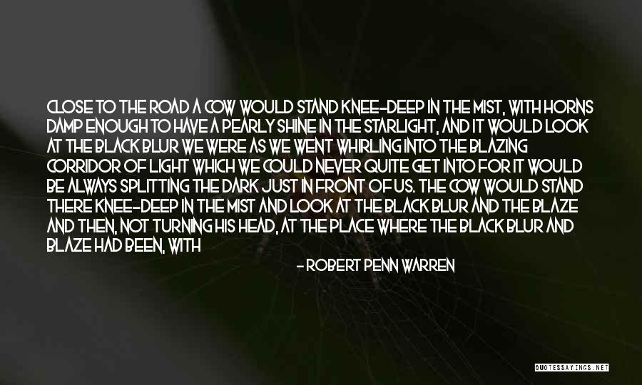 Between Light And Dark Quotes By Robert Penn Warren Between Light And Dark Quotes By Robert Penn Warren