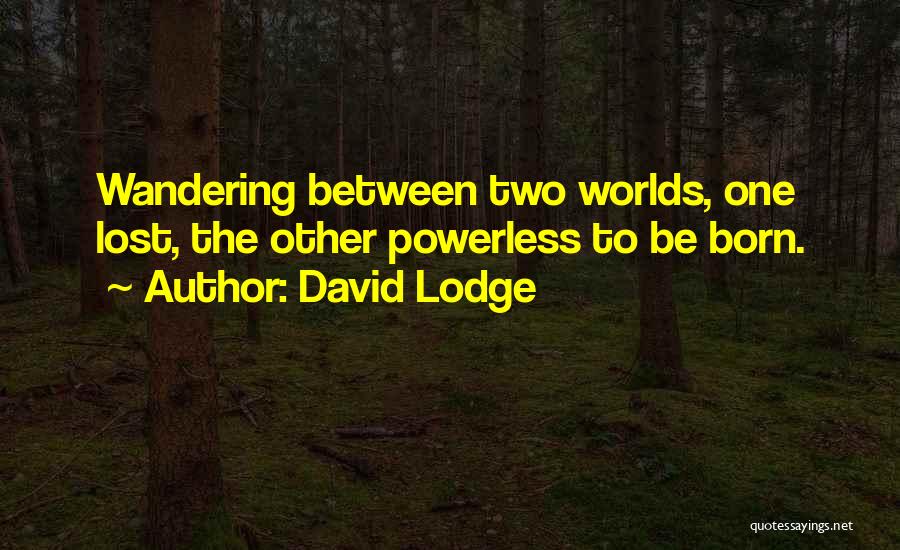 Between Two Worlds Quotes By David Lodge
