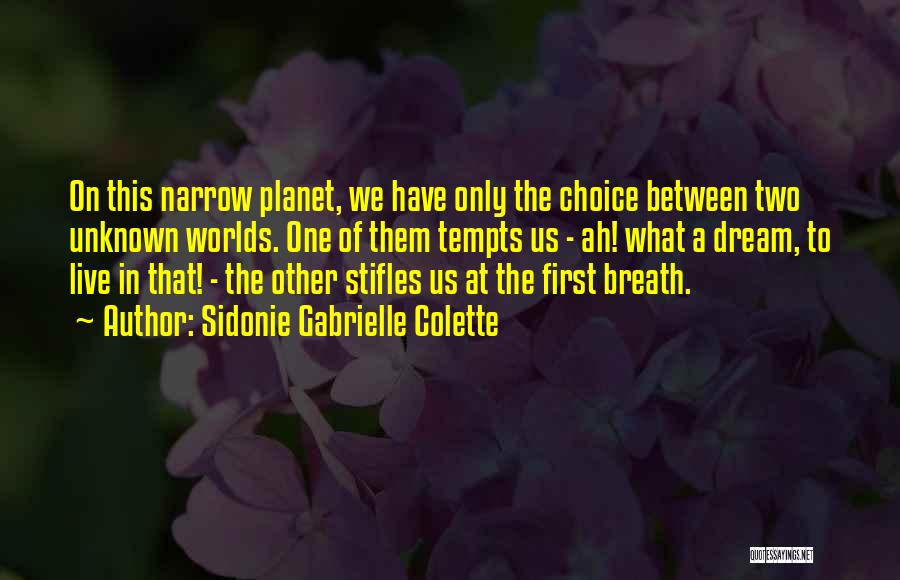 Between Two Worlds Quotes By Sidonie Gabrielle Colette