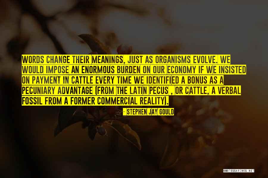 Betweener By Kumi Quotes By Stephen Jay Gould Betweener By Kumi Quotes By Stephen Jay Gould