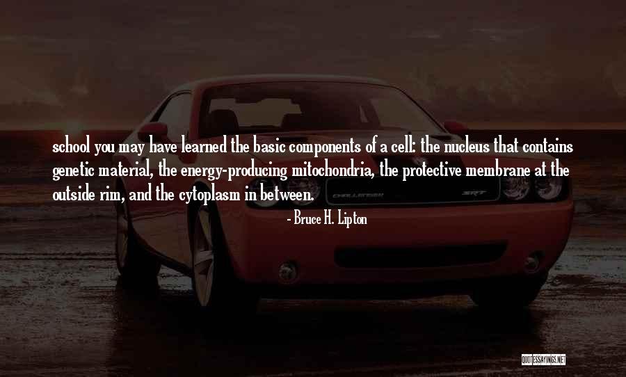 Betweener Quotes By Bruce H. Lipton Betweener Quotes By Bruce H. Lipton