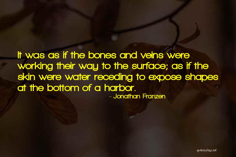 Beugler Deluxe Quotes By Jonathan Franzen Beugler Deluxe Quotes By Jonathan Franzen