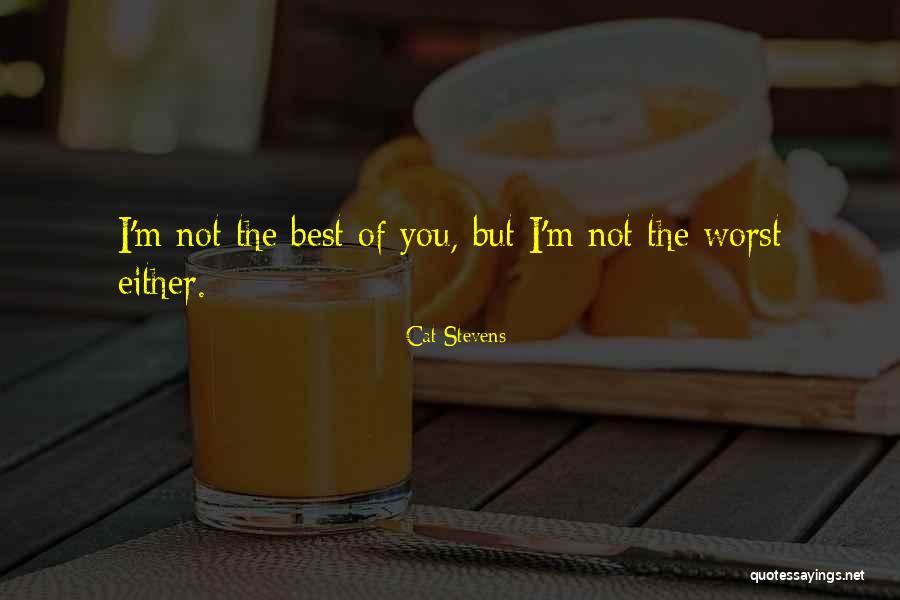 Beverage Coolers Quotes By Cat Stevens