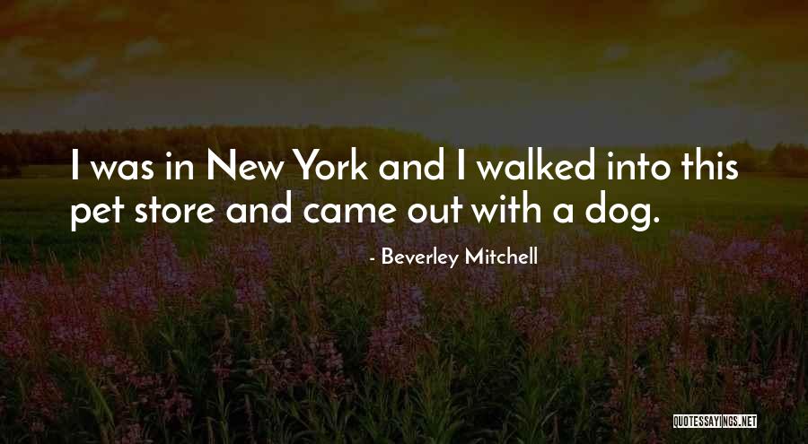 Beverley Mitchell Quotes 238465