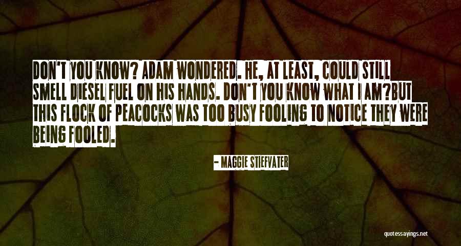 Beviamo Dolce Quotes By Maggie Stiefvater Beviamo Dolce Quotes By Maggie Stiefvater