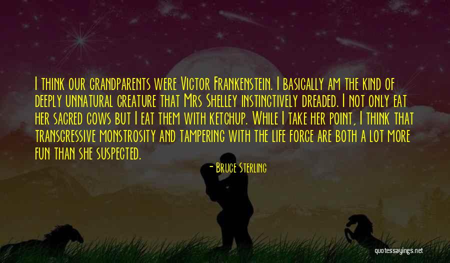 Bevy Flog Quotes By Bruce Sterling Bevy Flog Quotes By Bruce Sterling