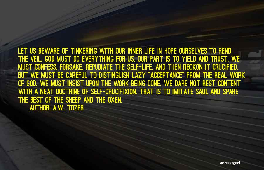 Beware Who You Trust Quotes By A.W. Tozer