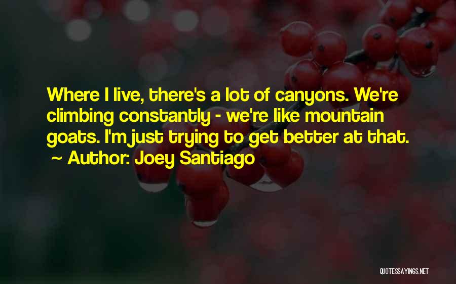 Bewegungsenergie Quotes By Joey Santiago