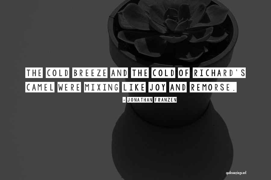 Bewellnm Quotes By Jonathan Franzen Bewellnm Quotes By Jonathan Franzen
