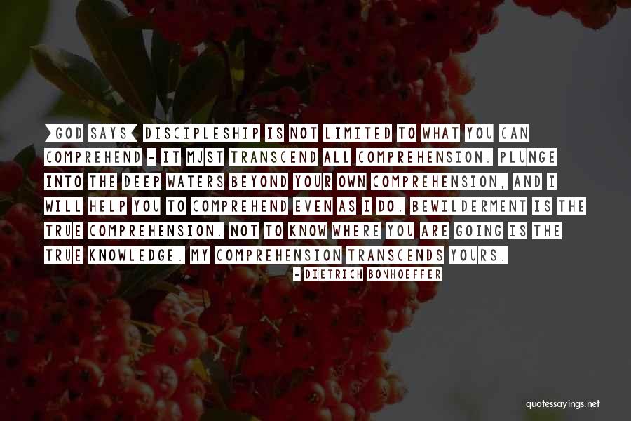 Bewilderment Quotes By Dietrich Bonhoeffer Bewilderment Quotes By Dietrich Bonhoeffer