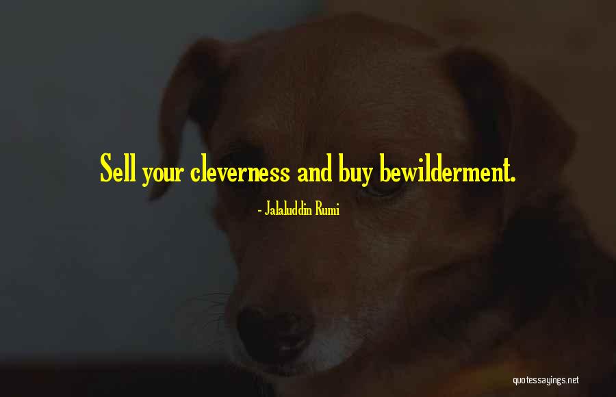 Bewilderment Quotes By Jalaluddin Rumi