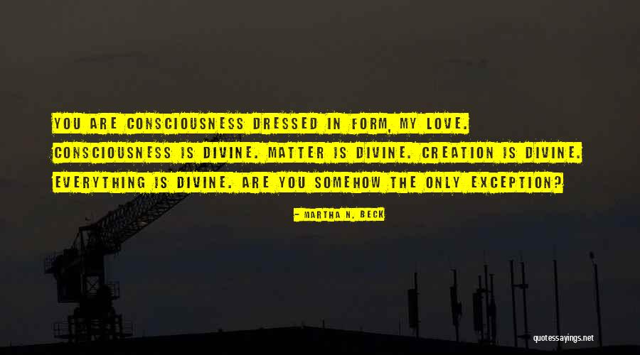 Bewilderment Quotes By Martha N. Beck Bewilderment Quotes By Martha N. Beck
