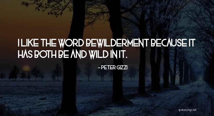 Bewilderment Quotes By Peter Gizzi Bewilderment Quotes By Peter Gizzi