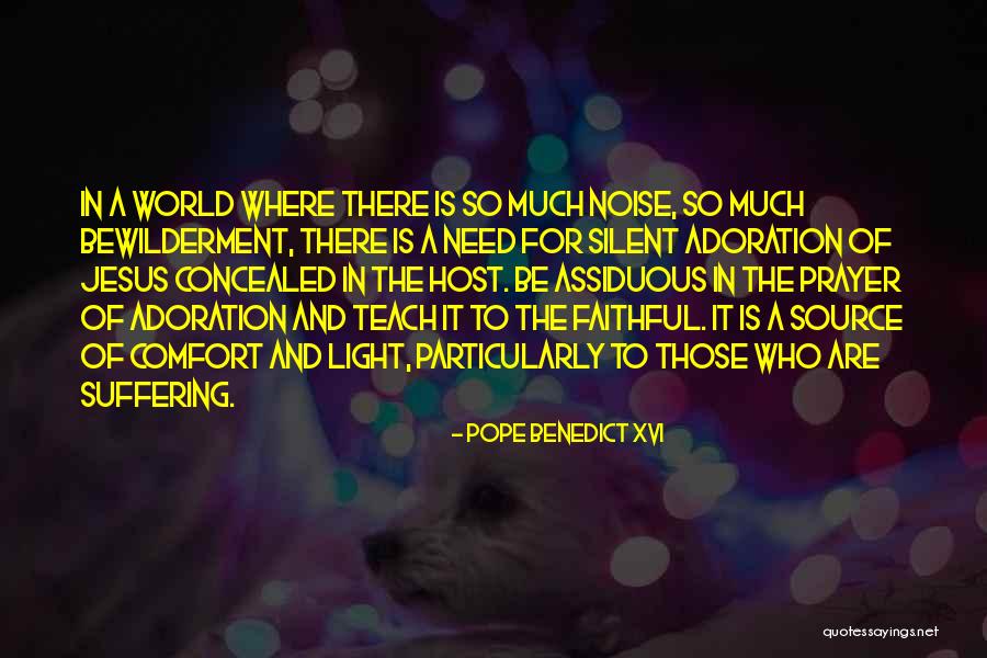 Bewilderment Quotes By Pope Benedict XVI Bewilderment Quotes By Pope Benedict XVI